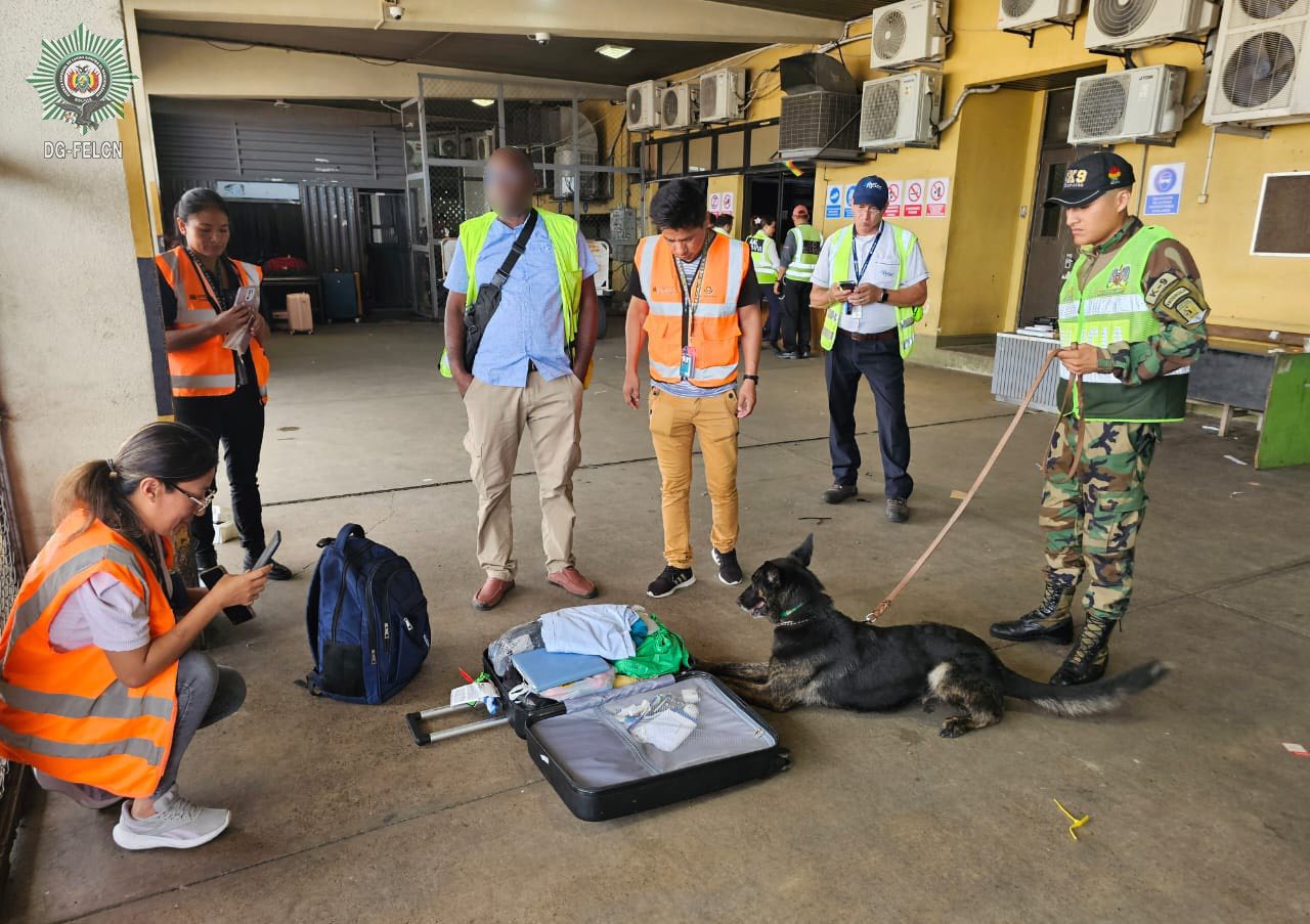 ALERTA DE EJEMPLAR CANINO DETECTA, MARIHUANA OCULTA EN EQUIPAJE