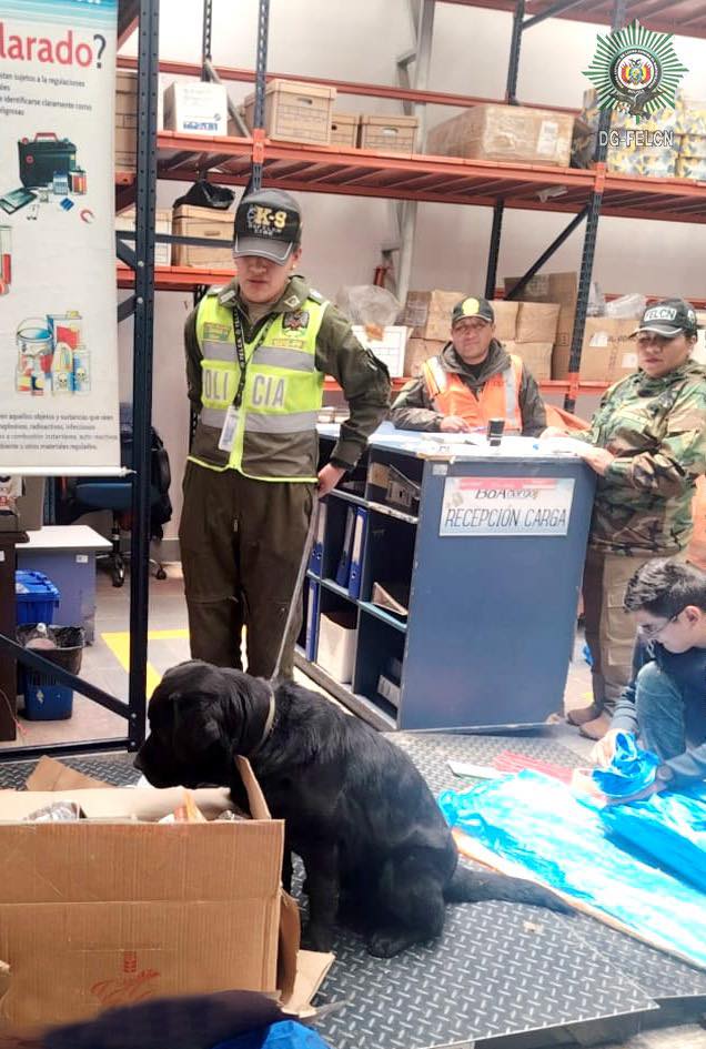 EL CAN ANTINARCÓTICOS “THIAGO” DETECTA CLORHIDRATO DE COCAÍNA