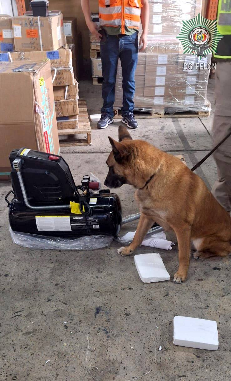 CAN “RED” DETECTA MARIHUANA EN COMPRESORA