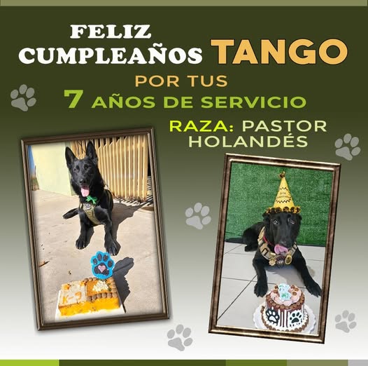 7 AÑOS DE LEALTAD Y SERVICIO: ¡FELIZ DÍA, TANGO!