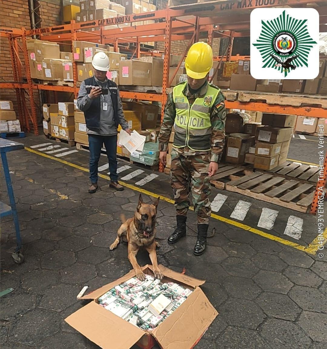 CAN ‘WATSSON’ DETECTA MARIHUANA EN VAPES