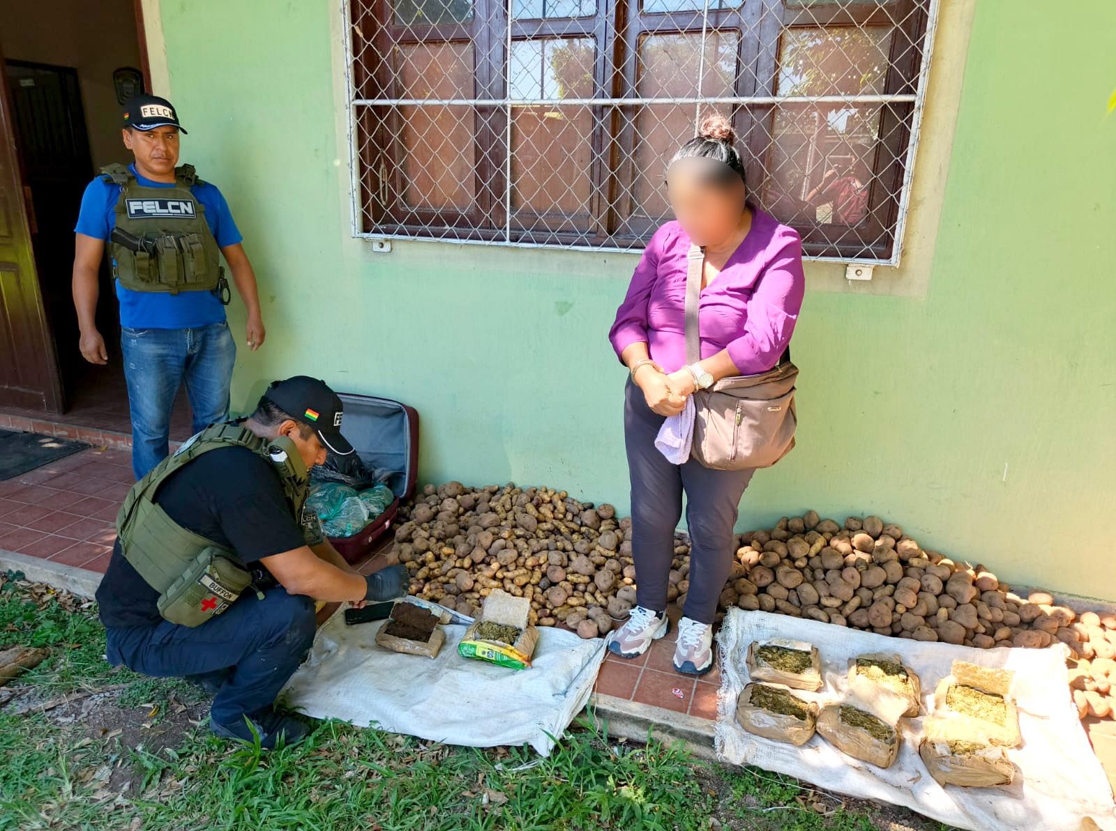 13 PAQUETES DE MARIHUANA OCULTOS ENTRE PAPA Y OCA