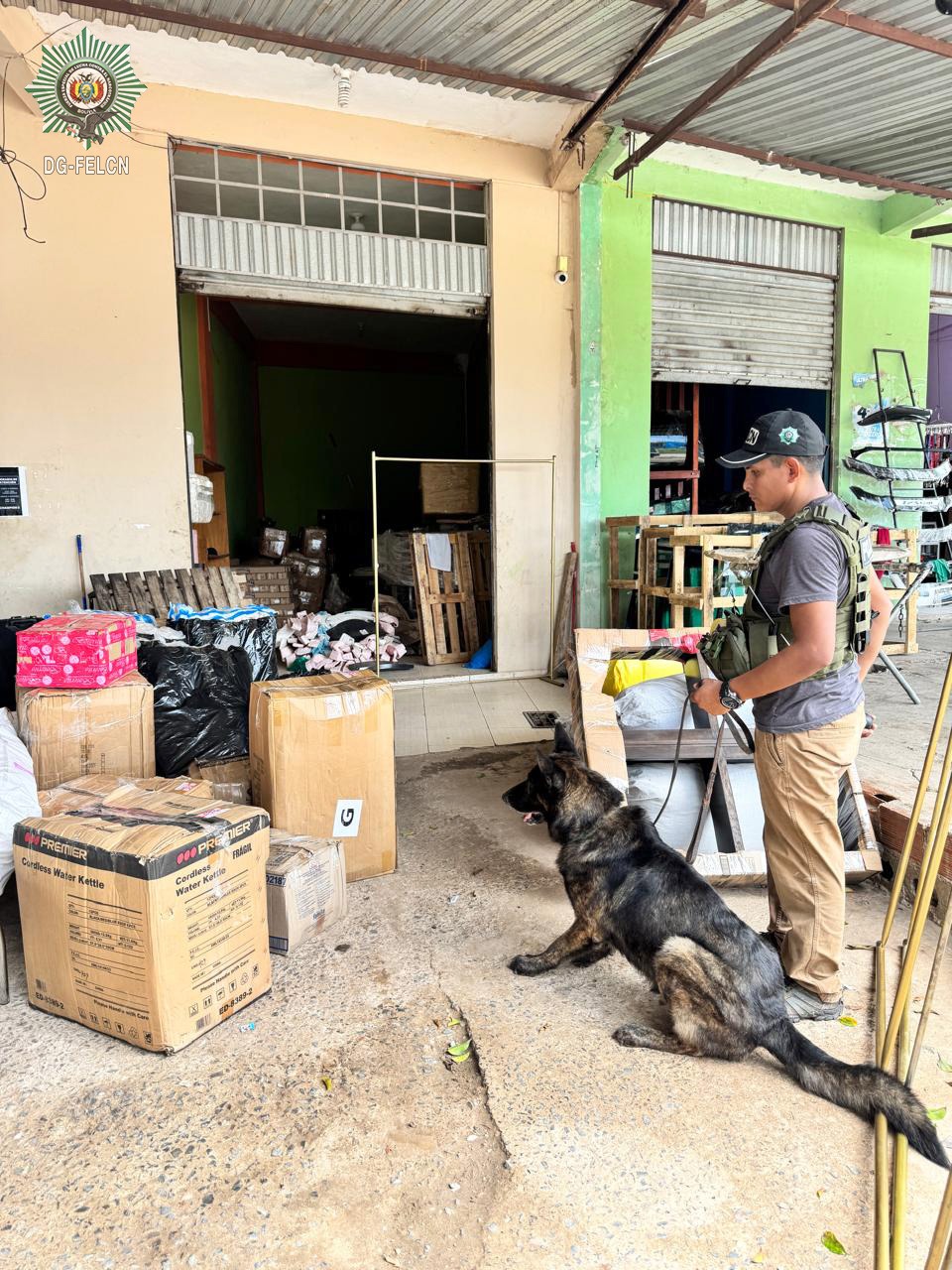 CAN “TAUROS” DETECTA MARIHUANA EN ENCOMIENDAS