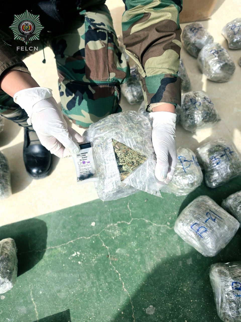 FELCN SECUESTRA 55 PAQUETES DE MARIHUANA