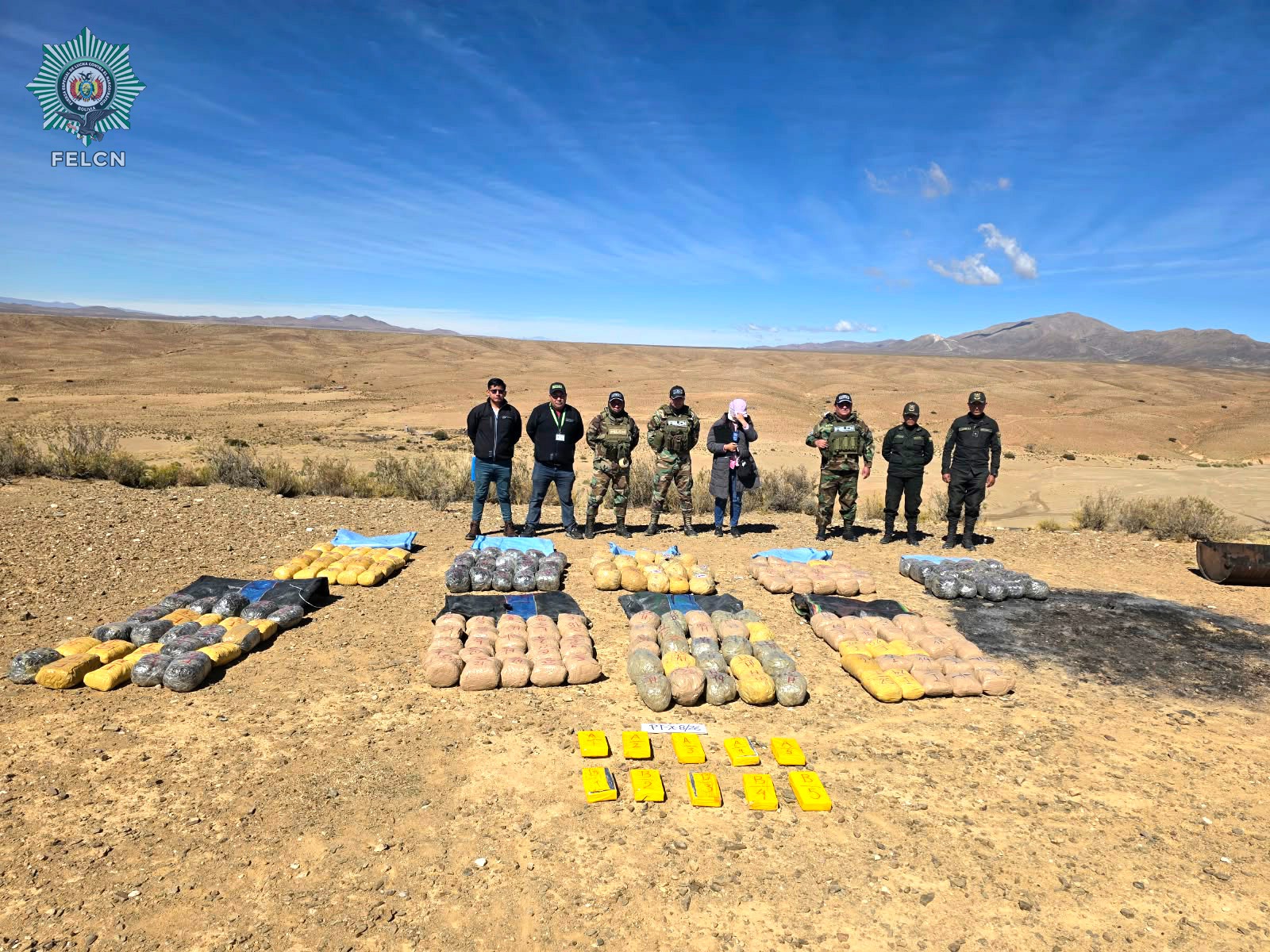 DESTRUCCIÓN E INCINERACIÓN DE SUSTANCIAS CONTROLADAS