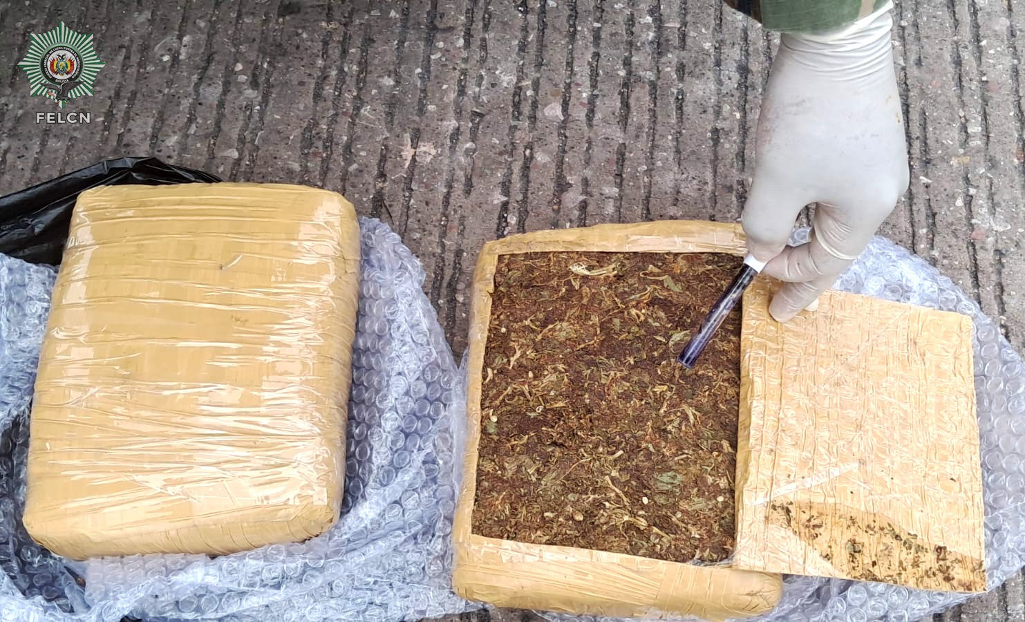 MARIHUANA CAMUFLADA EN ENCOMIENDA DE TRANSPORTE PÚBLICO