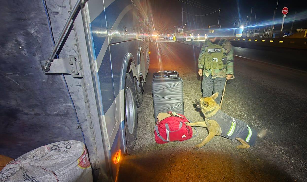 CAN “EVA” DETECTA MARIHUANA EN EQUIPAJES