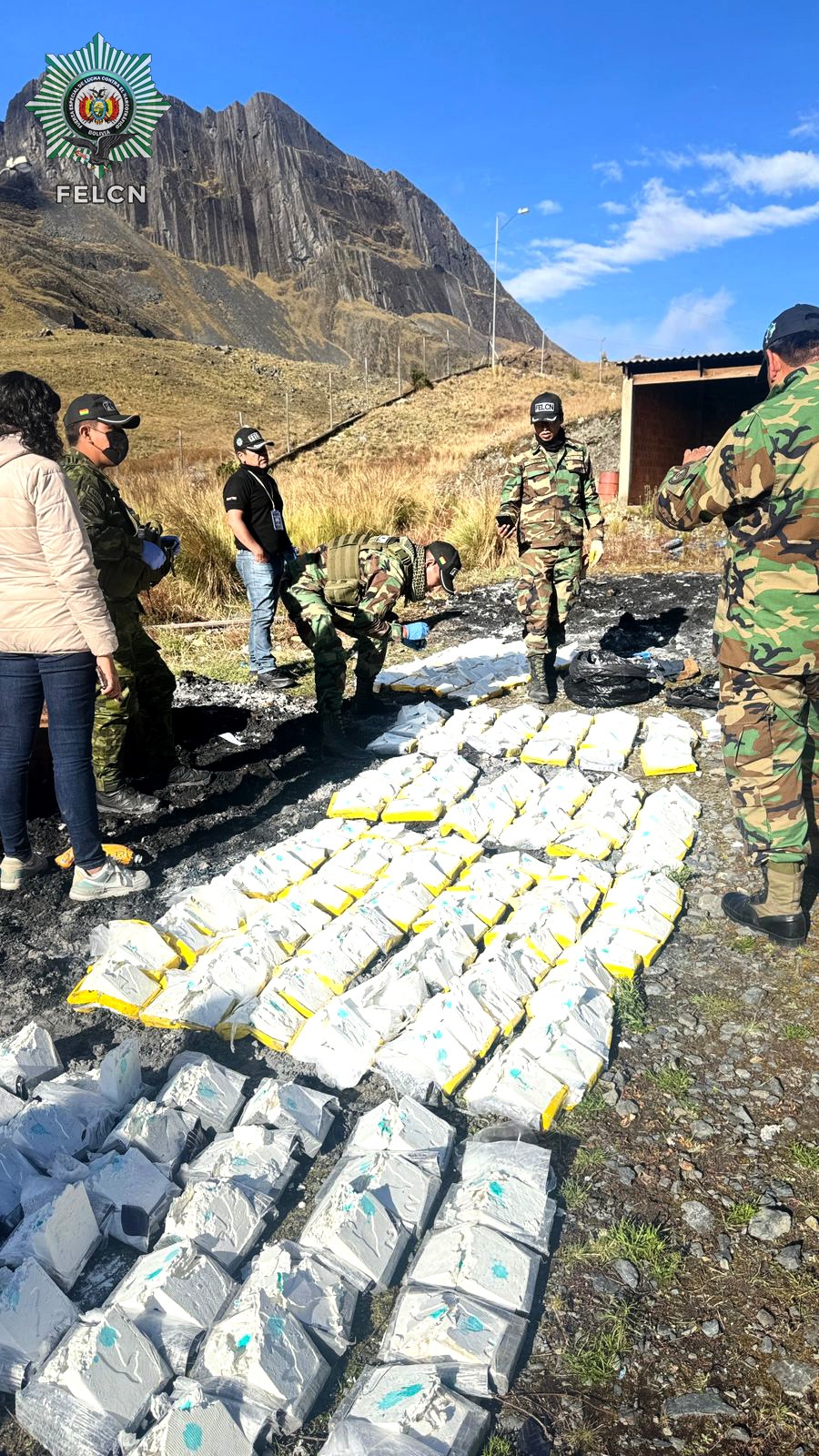 DESTRUCCIÓN E INCINERACIÓN DE SUSTANCIAS CONTROLADAS