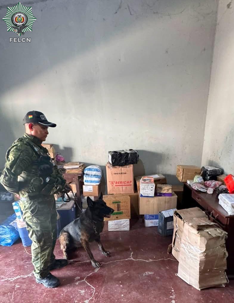 CAN “TAURUS” DETECTA MARIHUANA OCULTA EN AIRES ACONDICIONADOS