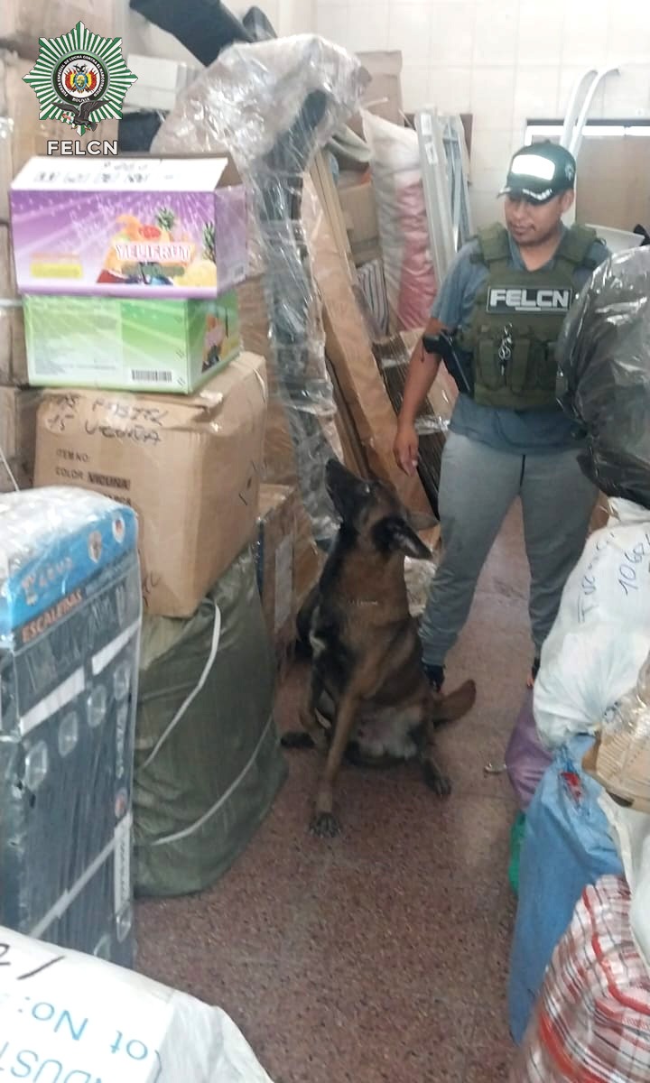 CAN “DOMINIC” DETECTA MARIHUANA EN ENCOMIENDA