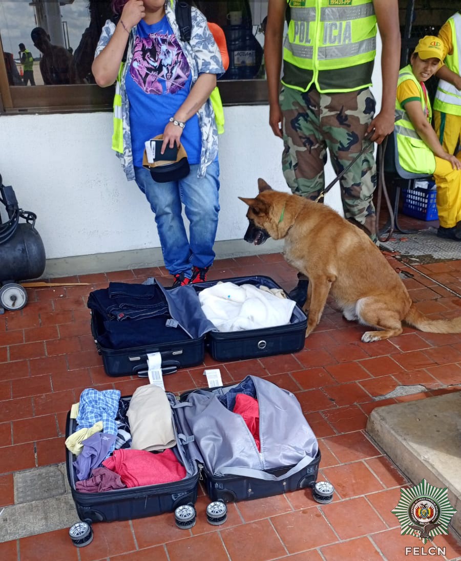 CAN “RED” DETECTA COCAÍNA EN PRENDAS DE VESTIR