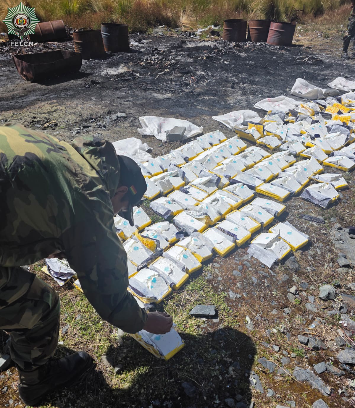 DESTRUCCIÓN E INCINERACIÓN DE SUSTANCIAS CONTROLADAS