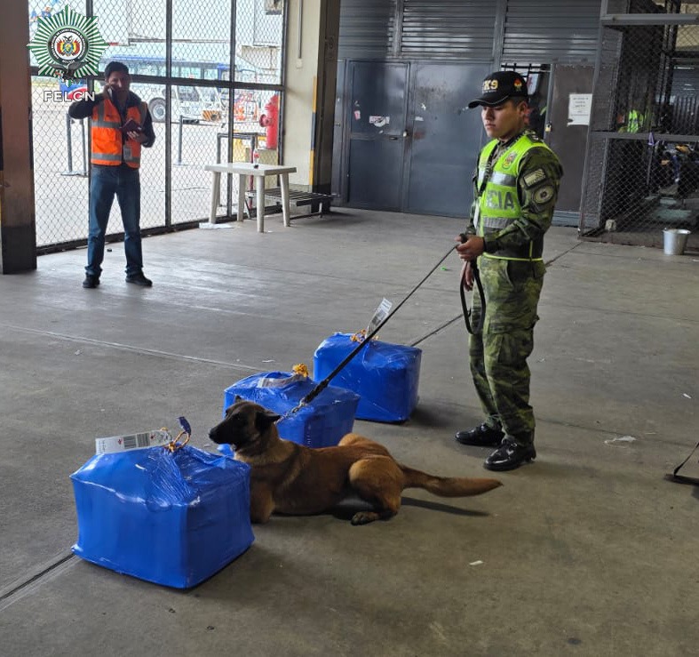 CAN “WAYRA” DETECTA COCAÍNA LÍQUIDA EN ENCOMIENDAS