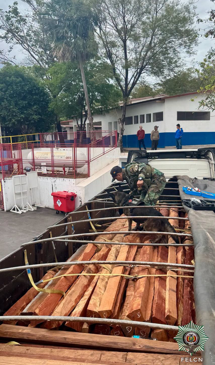 CONTINÚAN LOS CONTROLES A LAS EXPORTACIONES DE MADERA EN LAS FRONTERAS DEL PAÍS