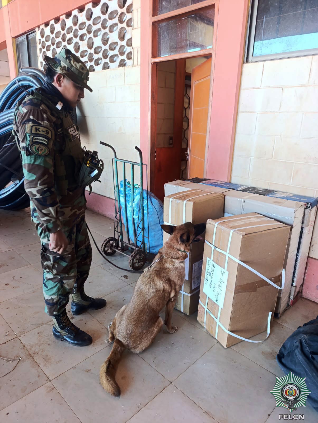 RED EL CAN ANTIDROGA DETECTÓ MARIHUANA EN ENCOMIENDA