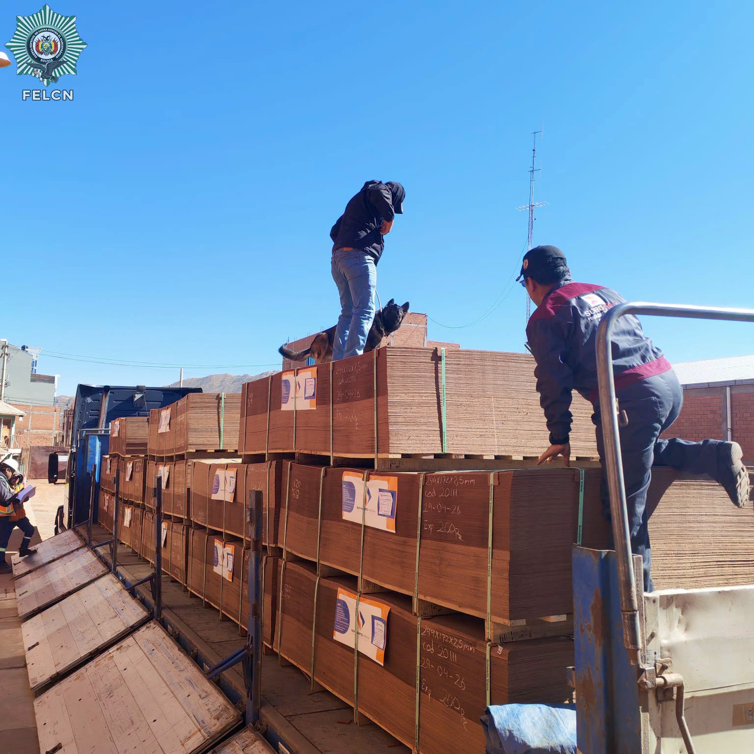 FELCN INSPECCIONA MADERA DE EXPORTACIÓN